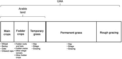 Optimising the Spatial and Production Input Features to Improve Efficiency of Hill Farm Production Systems